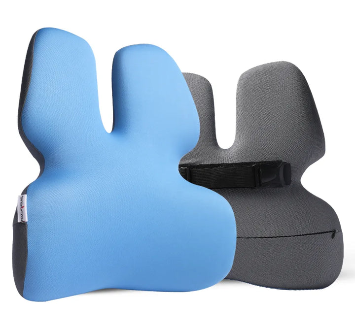 HealthSense Luxury Back Support for Office Chair | Memory Foam Lumbar Support Pillow for Back Pain | Car Seat Backrest with Detachable Buckles & Streamlined Inward-Curved Design | BC 25