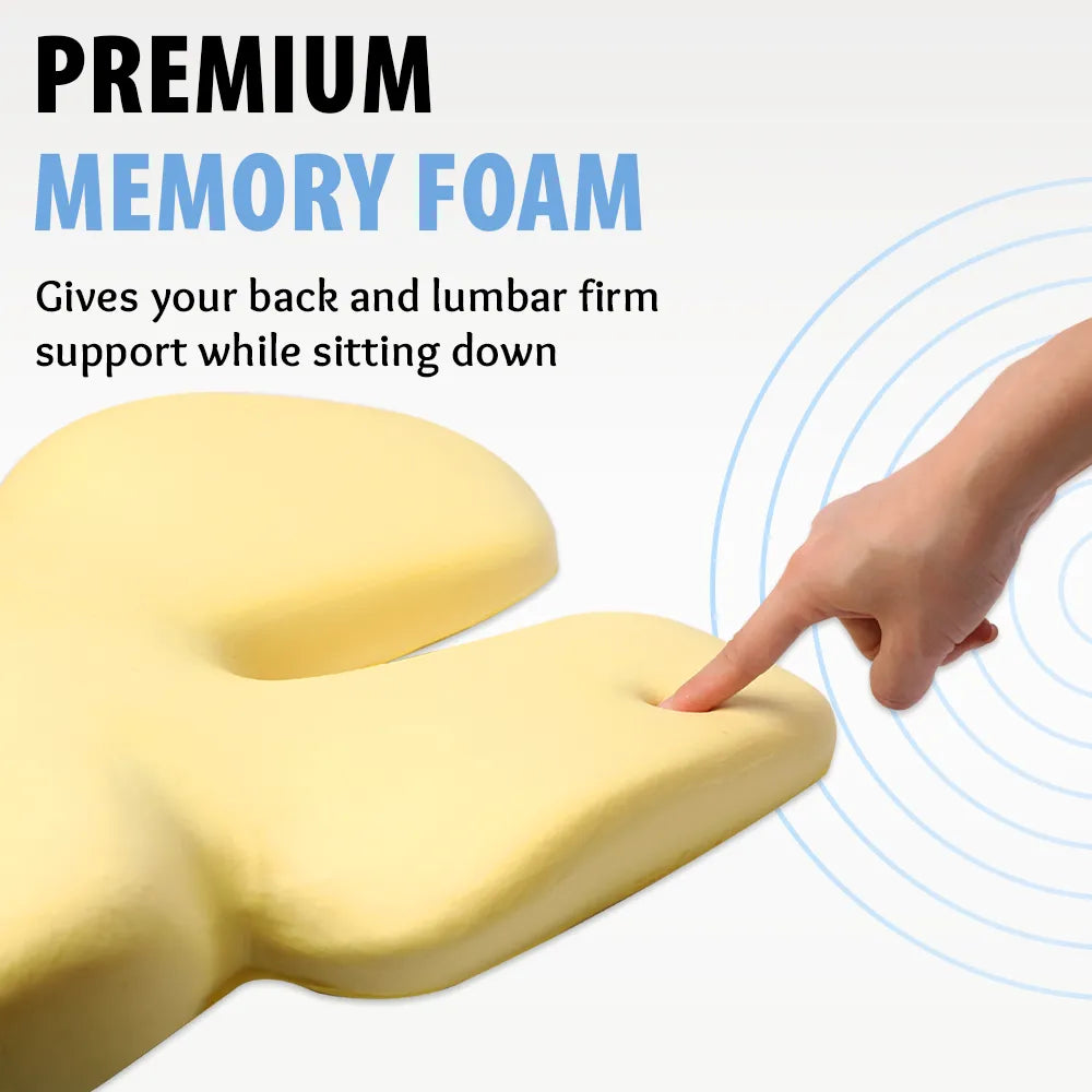 HealthSense Luxury Back Support for Office Chair | Memory Foam Lumbar Support Pillow for Back Pain | Car Seat Backrest with Detachable Buckles & Streamlined Inward-Curved Design | BC 25