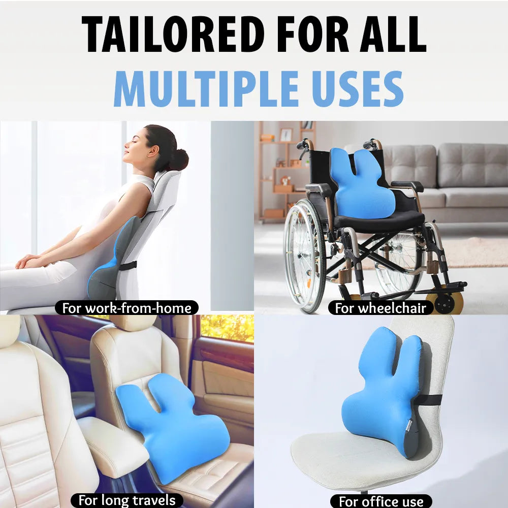 HealthSense Luxury Back Support for Office Chair | Memory Foam Lumbar Support Pillow for Back Pain | Car Seat Backrest with Detachable Buckles & Streamlined Inward-Curved Design | BC 25