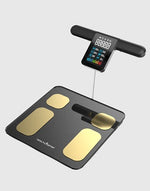 BS 200 Smart Bluetooth Weighing Scale With BMI & BMR Calculator