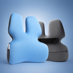 Luxury Memory Foam Lumbar Support Pillow for Office & Car BC 25